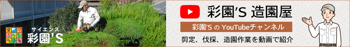 彩園’S造園屋【Youtube】 彩園’S造園屋【Youtube】