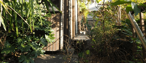 荒れた庭をきれいに 荒れた庭をきれいに