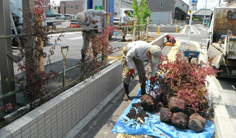 商業施設　植栽