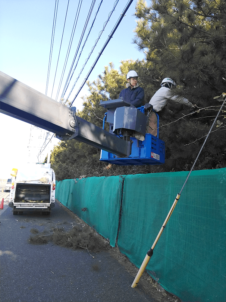 千葉市のお客様｜ 工場内の支障枝の切り詰め剪定｜彩園’S