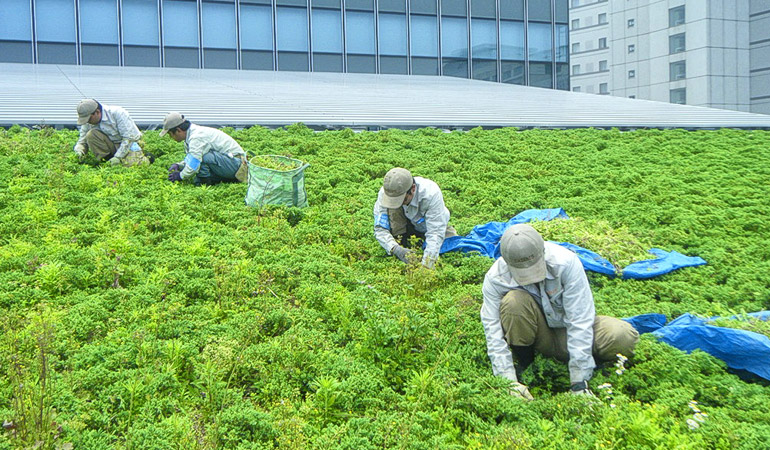 法人緑地管理