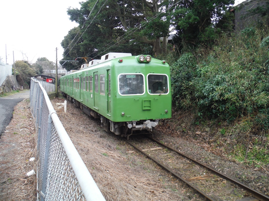 (伐採の下見）銚子市