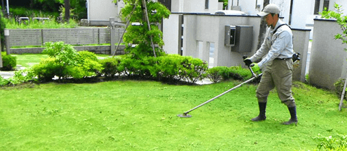 大規模な草刈り 大規模な草刈り